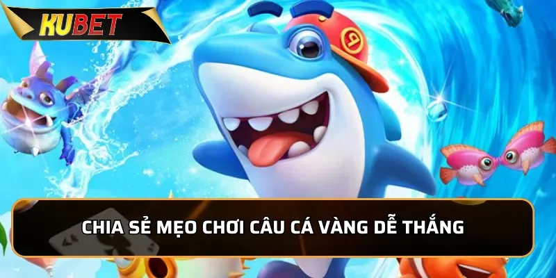 Chia sẻ mẹo chơi Câu Cá Vàng dễ thắng