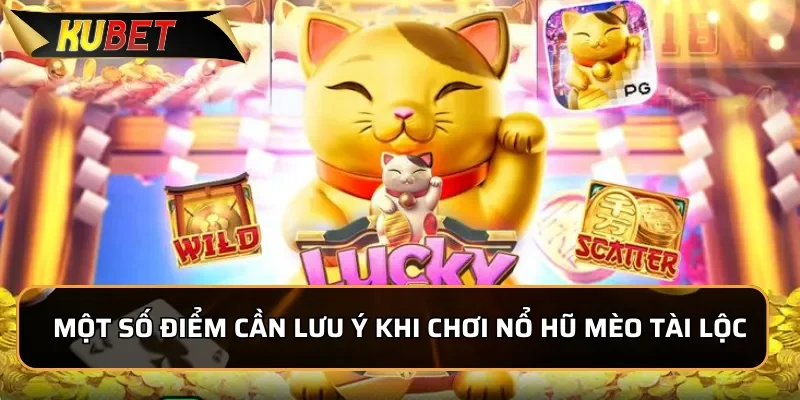 Một số điểm cần lưu ý khi chơi nổ hũ Mèo Tài Lộc